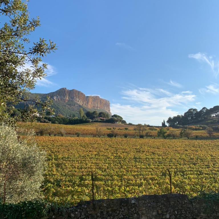 Large private garden, quiet 2-bedroom apartment, air conditioning, wifi, parking - Appartement - 75