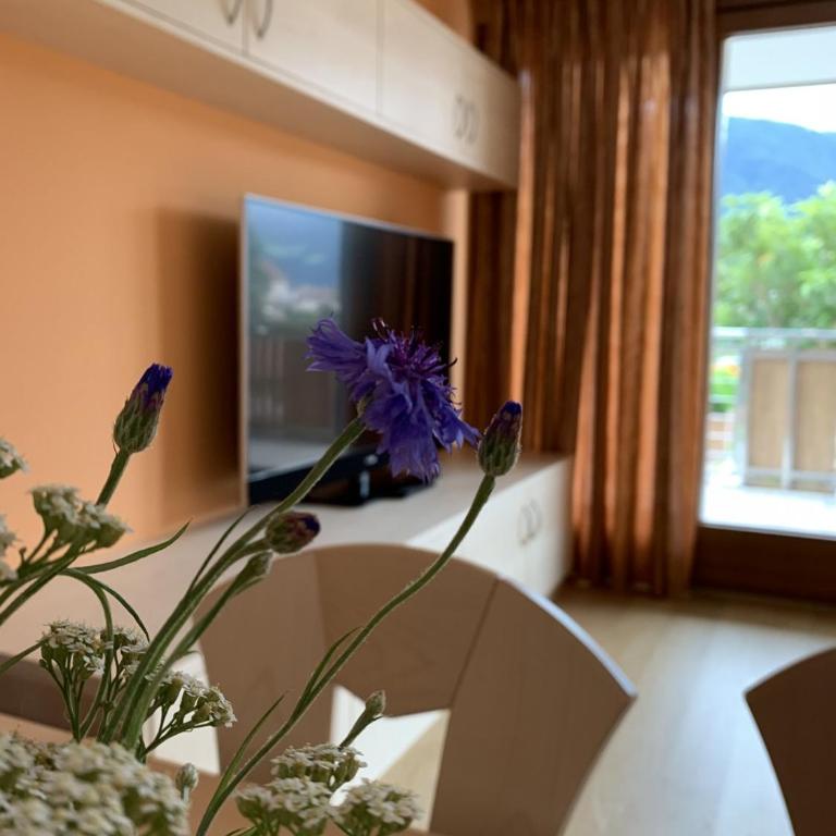 Residence Sonnenburger - Biobauernhof - Azienda agricola biologica - Three-Bedroom Apartment - 12