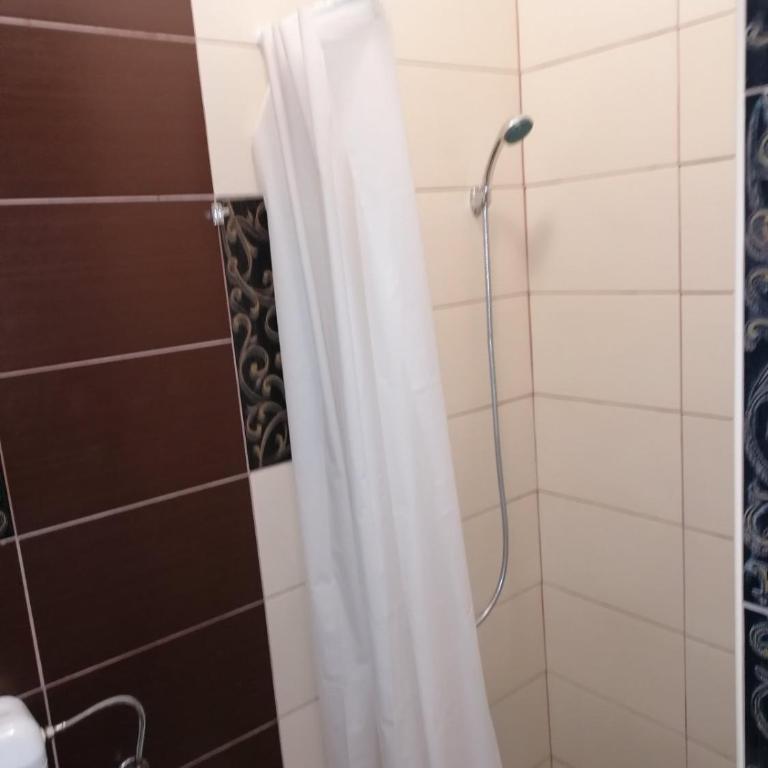 Excellency apartmani - Apartman sa Tušem - 13