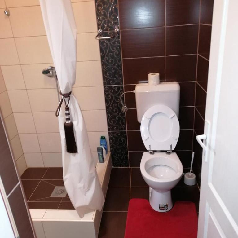 Excellency apartmani - Apartman - Prizemlje - 51
