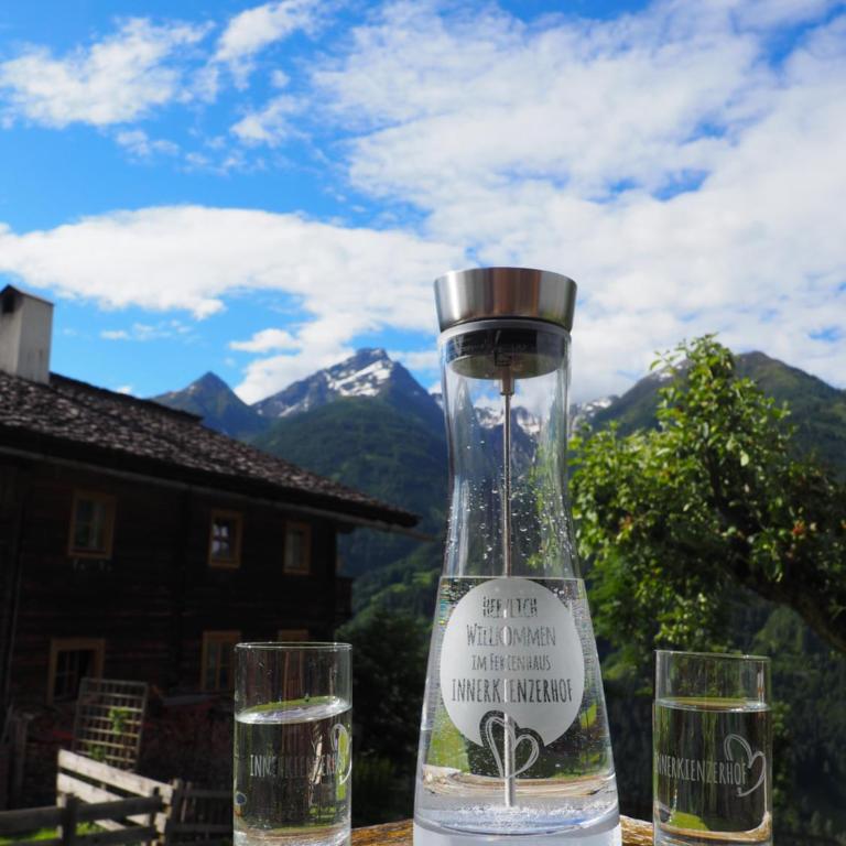 Ferienhaus Innerkienzerhof - Urlaub am Bauernhof - Ferienhaus - 40