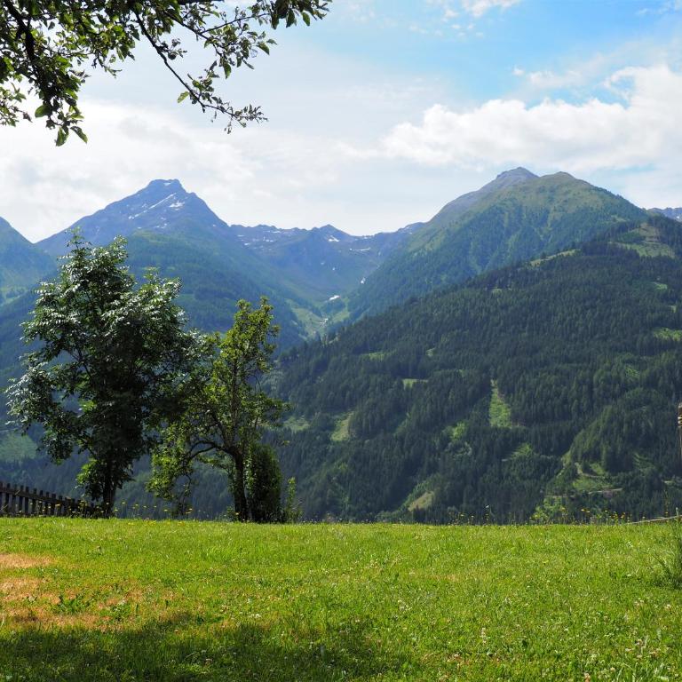 Ferienhaus Innerkienzerhof - Urlaub am Bauernhof - Ferienhaus - 45