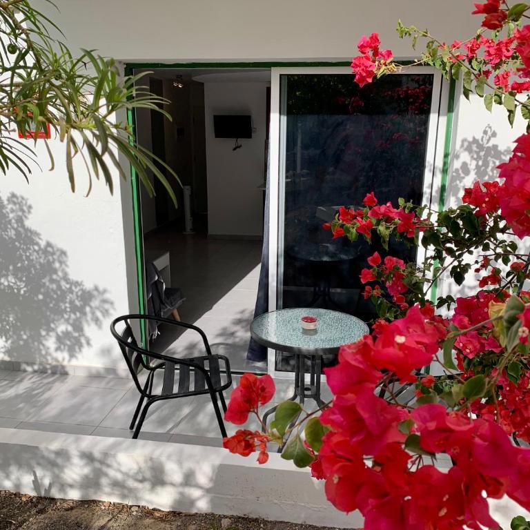 La dama gris - Fuerteventura Holiday Wi-Fi - Apartamento de 1 dormitorio - 2