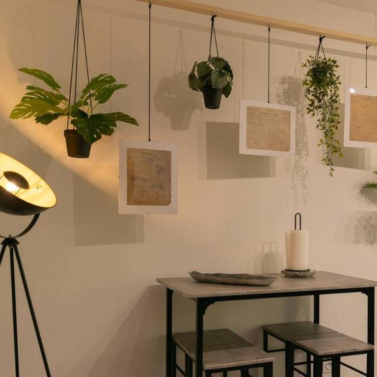 Superbe Appart Plein Centre avec Parking & Jardin - Appartement 1 Chambre - 3