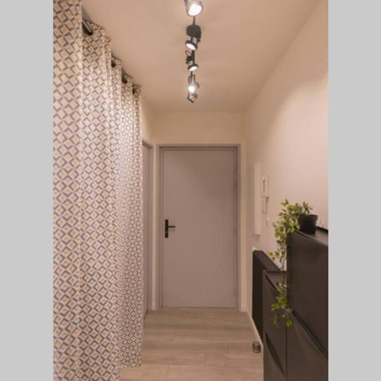 Superbe Appart Plein Centre avec Parking & Jardin - Appartement 1 Chambre - 7