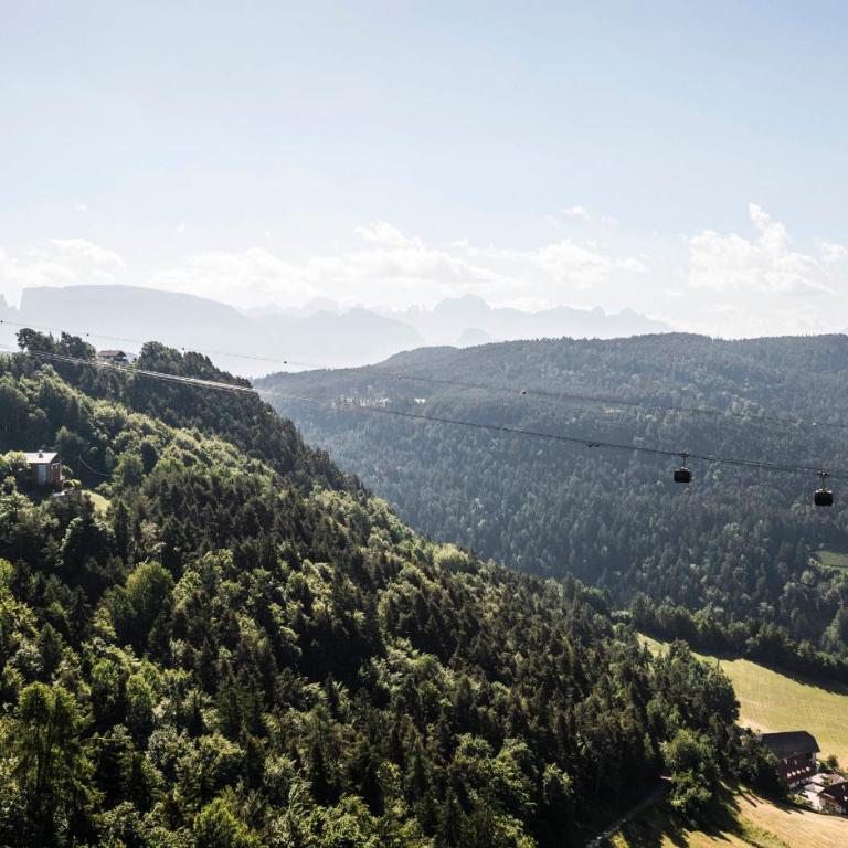 Pippos Mountain Lodge - Double Room with Mountain View - 9