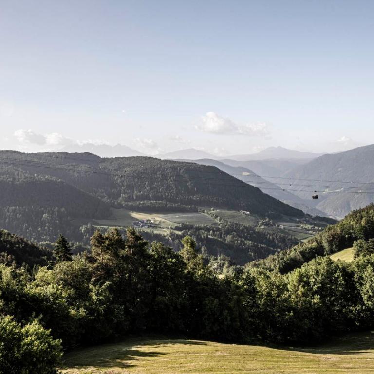 Pippos Mountain Lodge - Suite with Balcony - 2