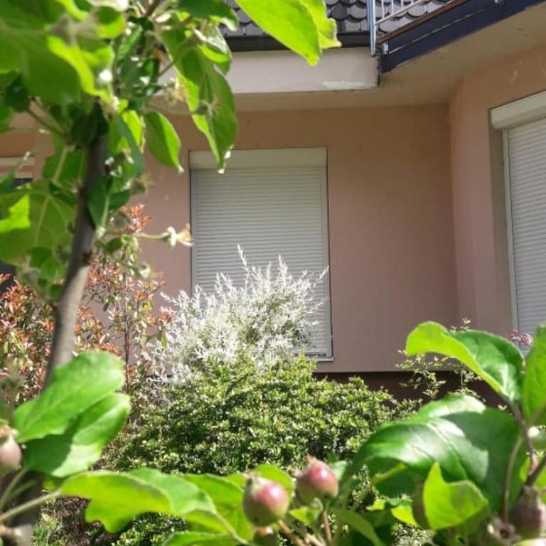 Vila Jasmina - Villa with Garden View - 28