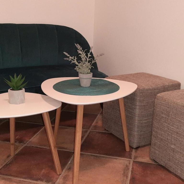 Apartment Ozana - Two-Bedroom Apartment - 12