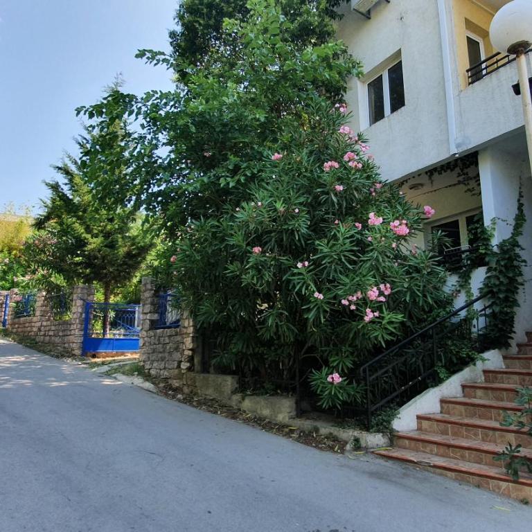 Candy apartment central location Bečići - One-Bedroom Apartment - 21