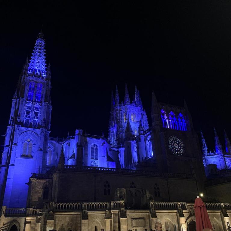 Mirando a la Catedral desde plaza Vega - Apartamento de 2 dormitorios - 21