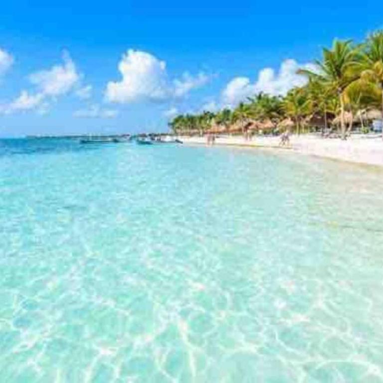 Vive tus vacaciones, depa nuevo Playa del Carmen - Two-Bedroom Apartment - 11