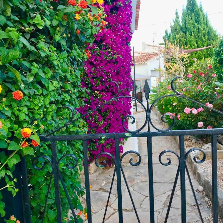 Villa Aurica - Casa de 3 dormitorios - 34