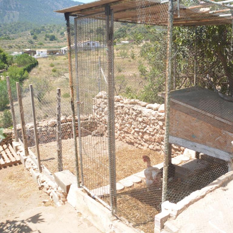 CHALET CON PISCINA A 1 KILOMETRO DE LA PLAYA CARTAGENA - Casa de 6 dormitorios - 32