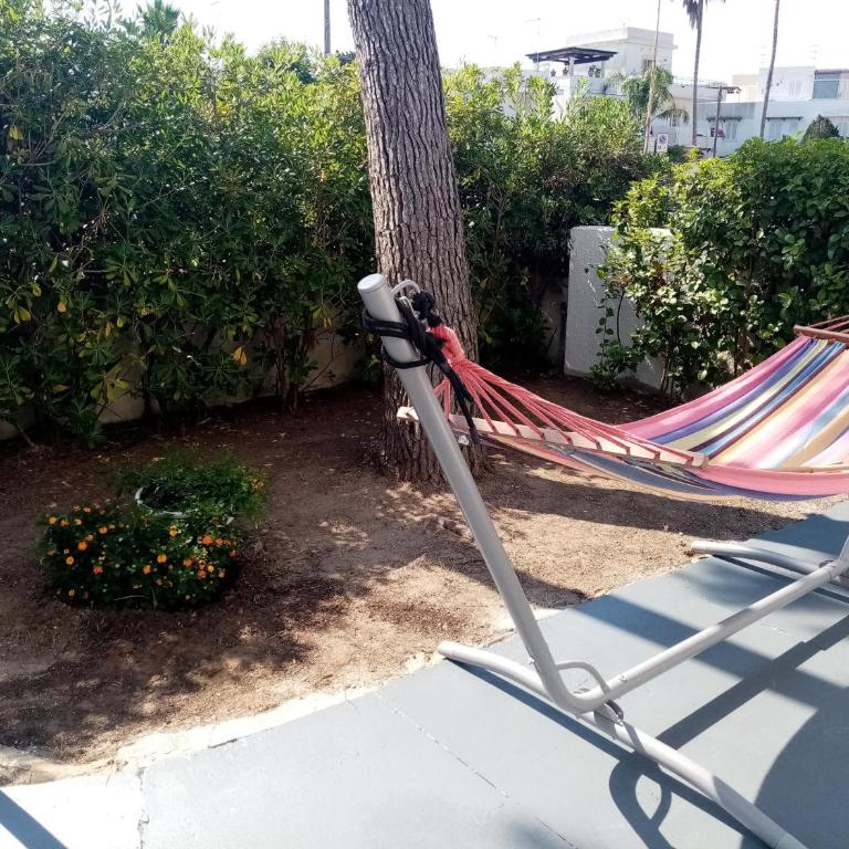 Residence Orsa Minore - Appartamento - Piano Terra - 12