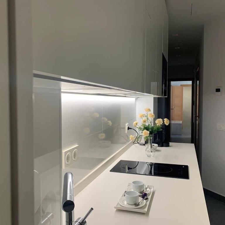 Ramón y Cajal SUITES DE LUXE - Apartamento - 7