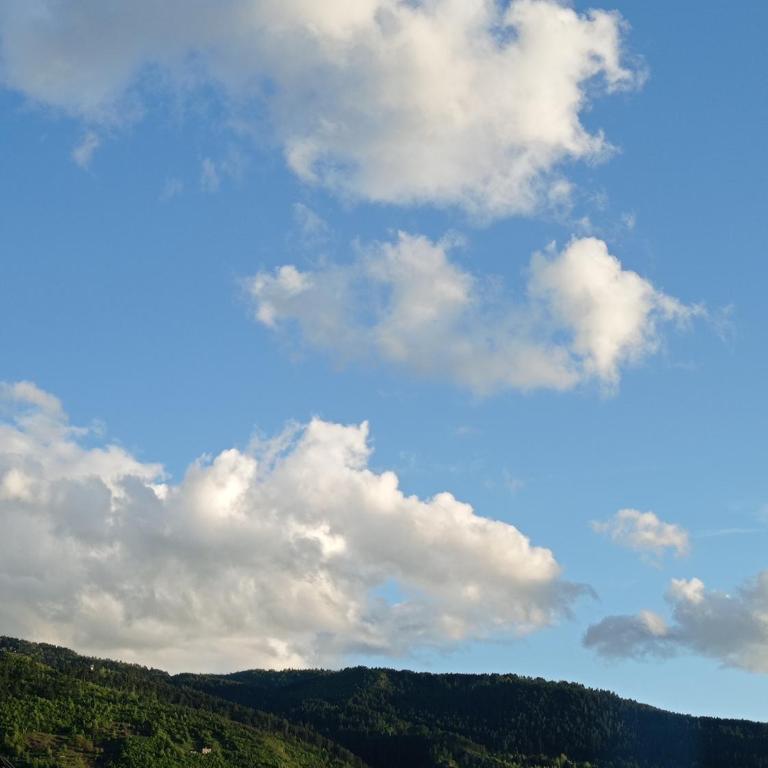 Romantic - Deluks Apartman - 63