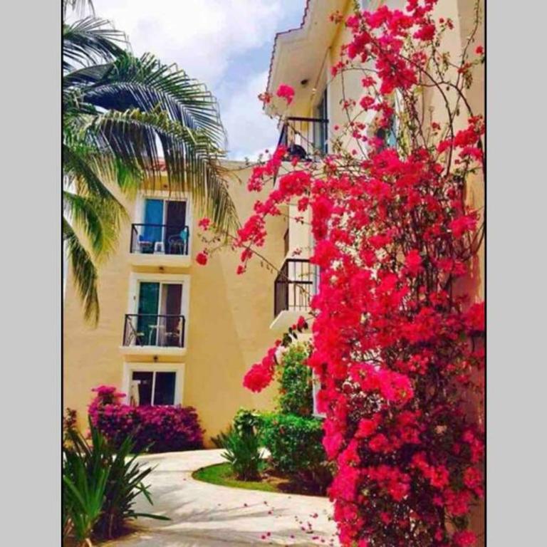 Bright Luxury Apartment with swimming pool - Apartamento de 1 dormitorio - 12