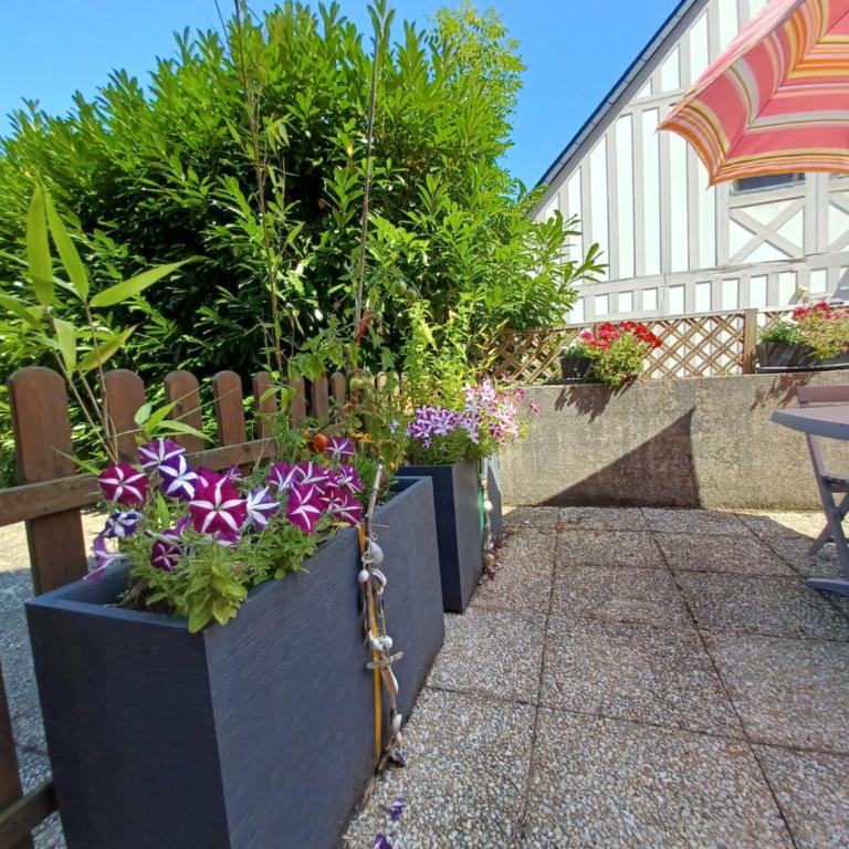 L'escale honfleuraise - Studio avec Terrasse - 14