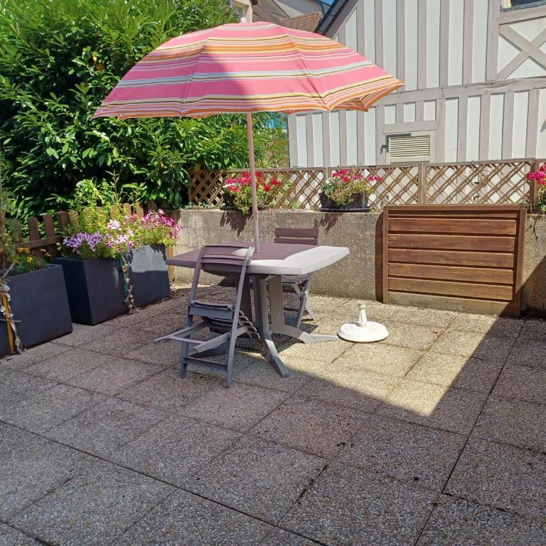 L'escale honfleuraise - Studio avec Terrasse - 17