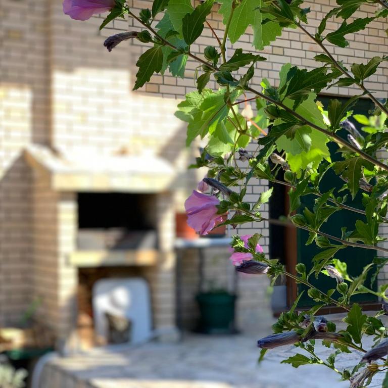 Holiday Home Bratica - Four-Bedroom House - 13