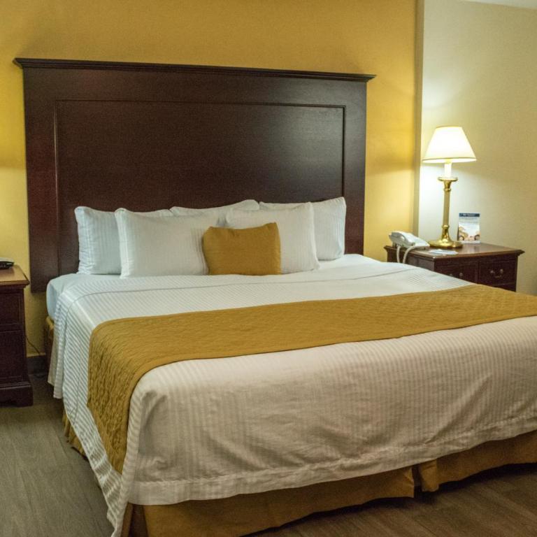 Hotel Plaza Calzada - Single Room - Non-Smoking - 5