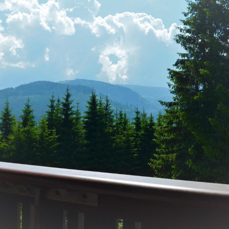 Korlape Apartman 4.2 - Apartment with Mountain View - 18