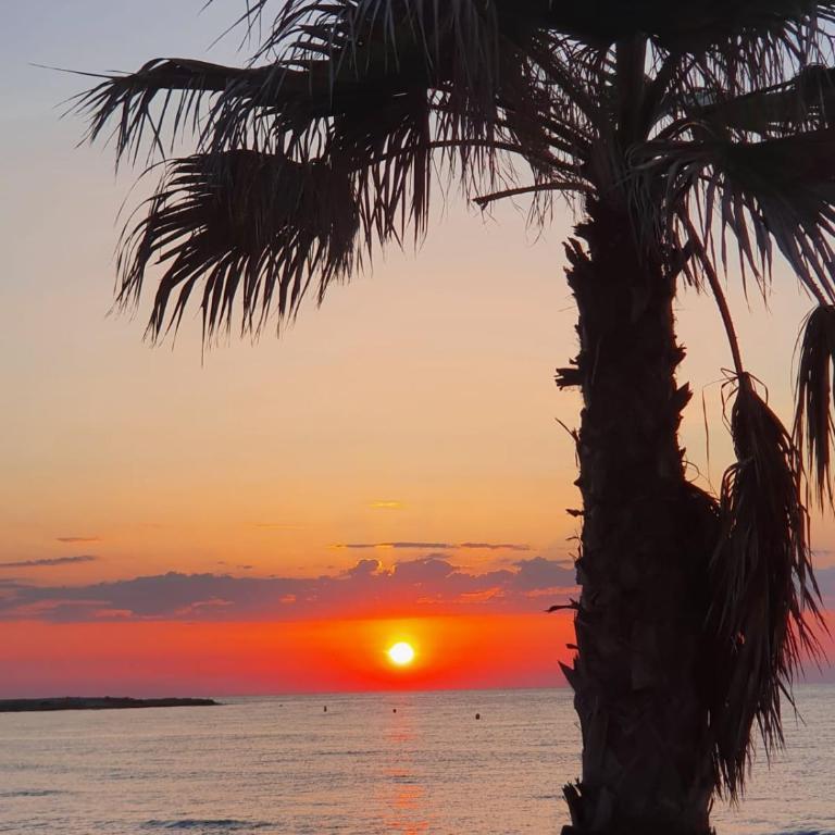 Gemütliche Ferienwohnung in Torrevieja ca100m vom Strand Playa del Cura entfernt - Apartamento de 1 dormitorio - 21