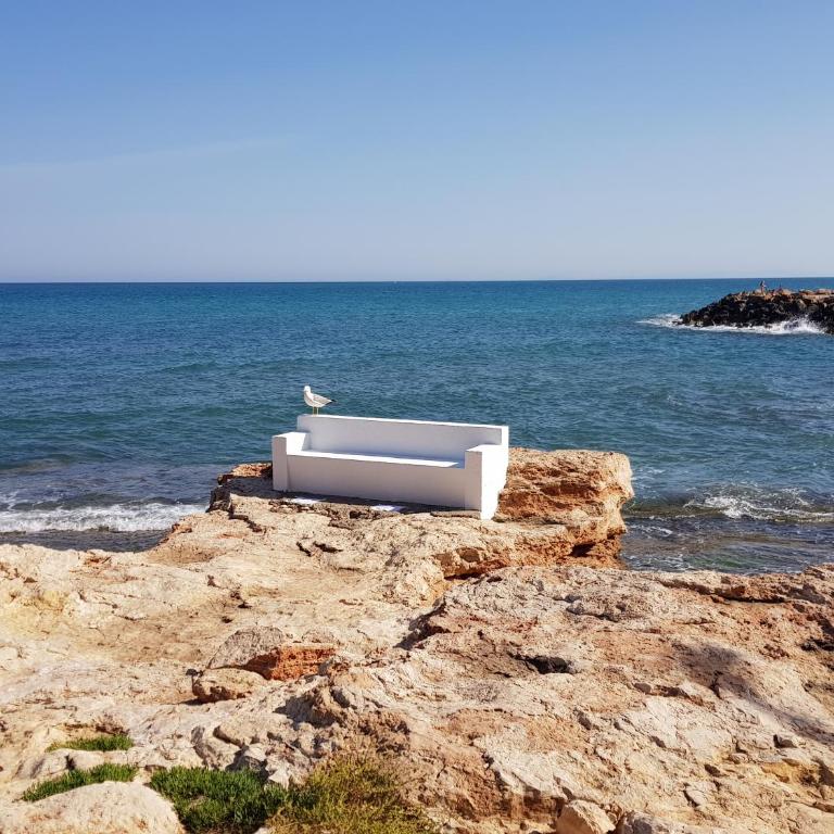 Gemütliche Ferienwohnung in Torrevieja ca100m vom Strand Playa del Cura entfernt - Apartamento de 1 dormitorio - 23