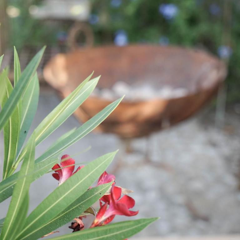 El Toro Blanco Luxury Villa in Andalucia - Villa con piscina privada - 43