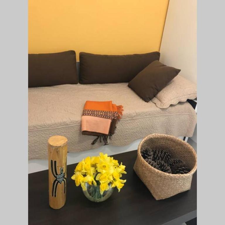 Studio luminoso impecable y chic - Estudio - 34