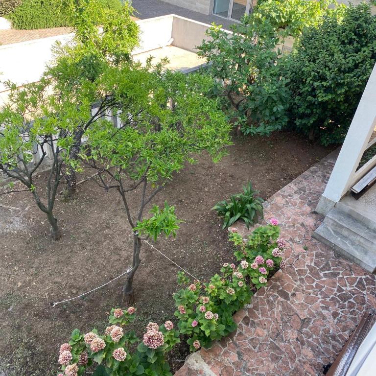 Guest house Kamelija - Kuća sa 4 Spavaće Sobe - 48