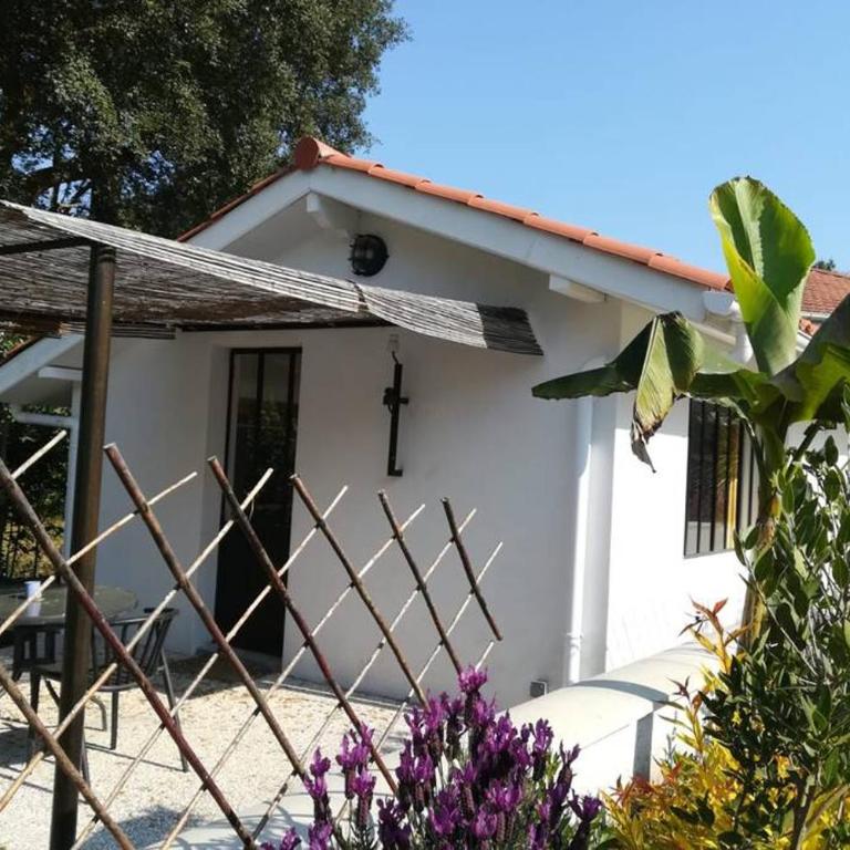 L'annexe des Cigales, à l'ombre des chênes lièges - One-Bedroom House - 22