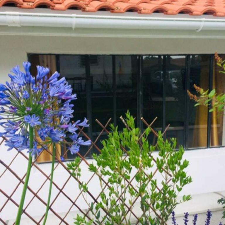 L'annexe des Cigales, à l'ombre des chênes lièges - One-Bedroom House - 25