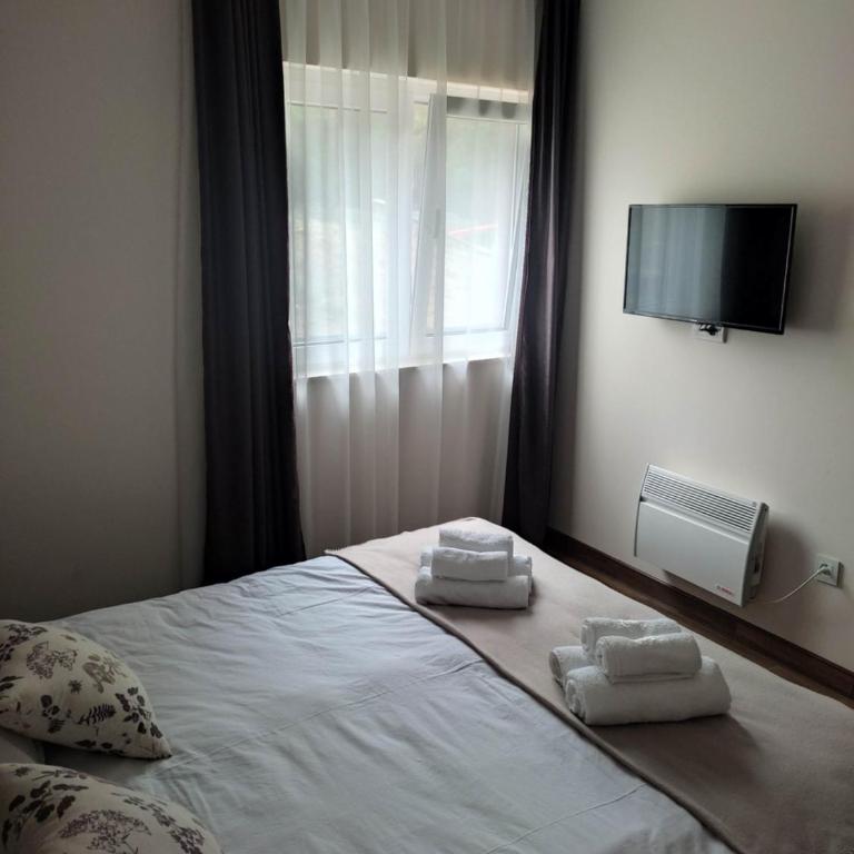 Apartmani Borova Iglica Divčibare - Apartman sa 1 Spavaćom Sobom - 6