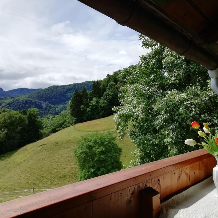 Landhaus Heisenbauer - Apartment mit 1 Schlafzimmer - 8