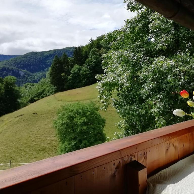 Landhaus Heisenbauer - Apartment mit 1 Schlafzimmer - 9
