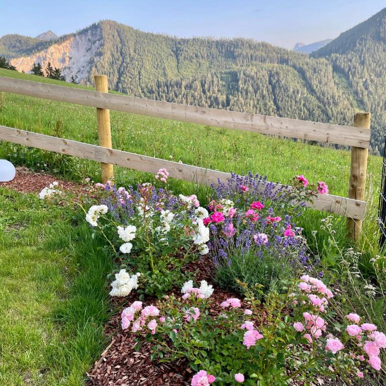 Traumblick Dachstein - Apartment mit 2 Schlafzimmern - 42