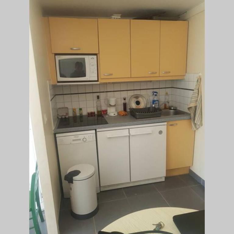 Appartement résidence du golf Saint cyprien plage - Appartamento con 1 Camera da Letto - 2