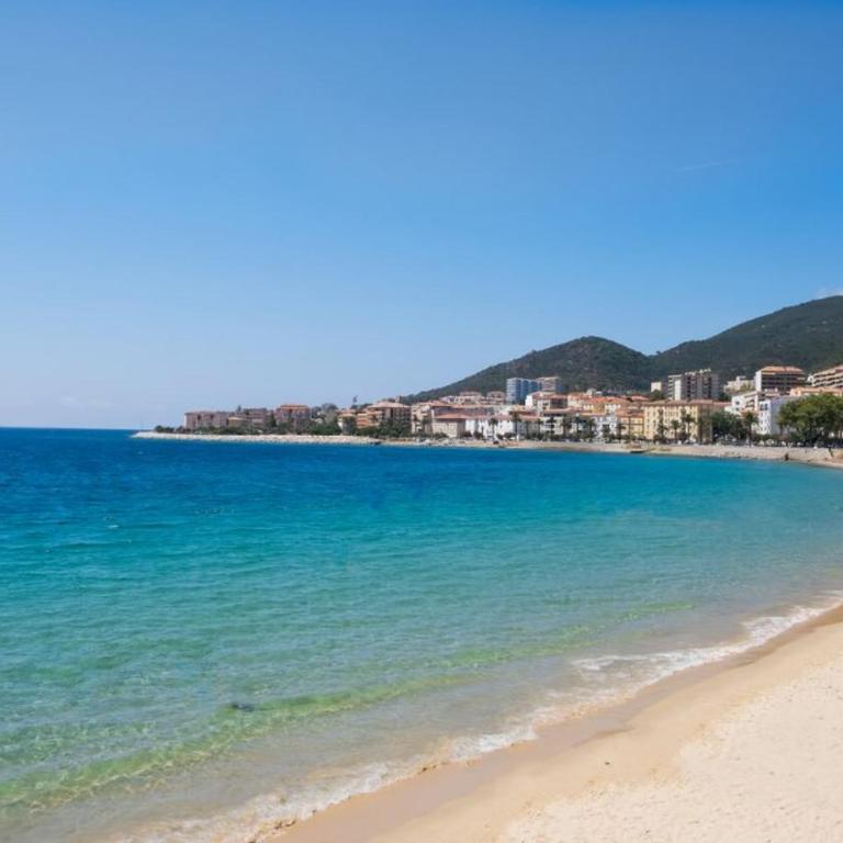 BRILOC AJACCIO centre ville - Apartamento de 1 dormitorio - 9