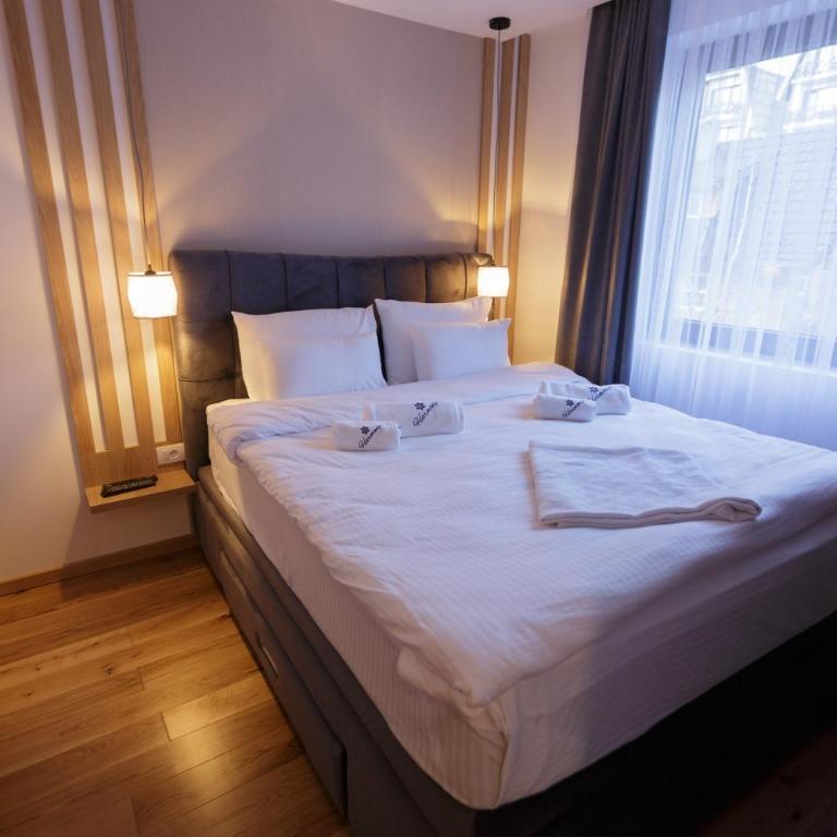 Harmonija Resort - Harmonija Kopaonik - Junior Deluxe Studio with Spa Access - 4