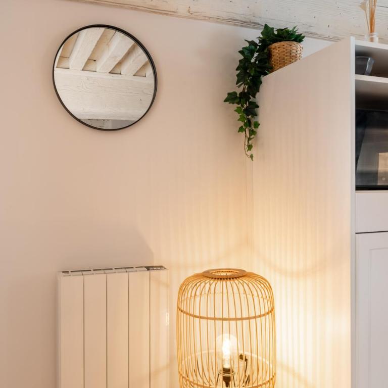 Les Cocon des Pentes de la Soie - Appartement 1 Chambre - 20