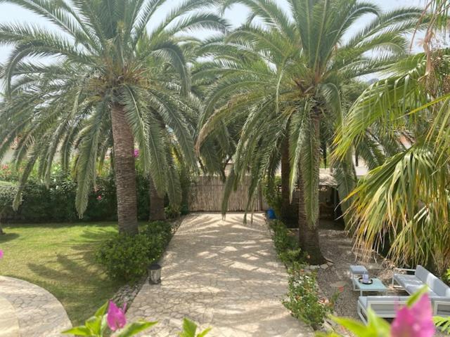 Villa Palmera Playa Almadrava, Els Poblets , Denia - Villa de 3 dormitorios - 28