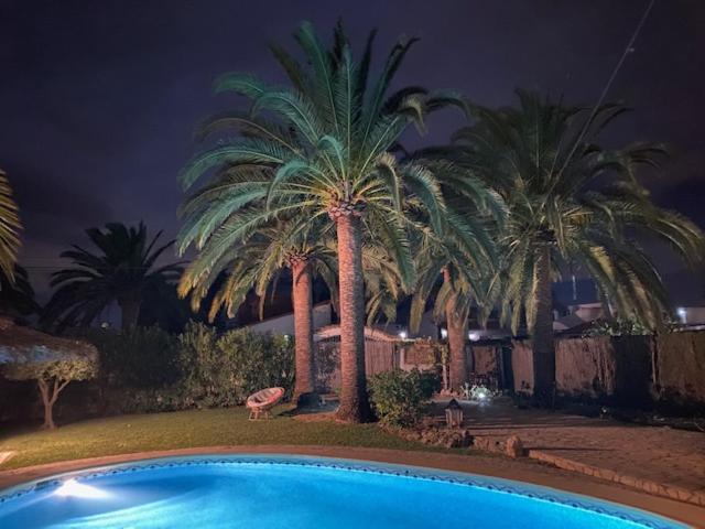 Villa Palmera Playa Almadrava, Els Poblets , Denia - Villa de 3 dormitorios - 11