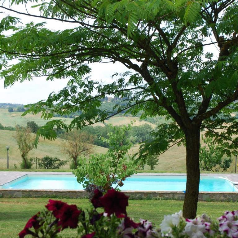 Villa Talciona - Appartamento - 34