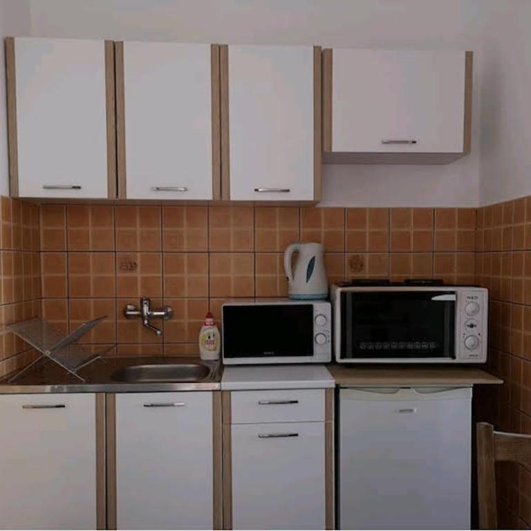 Vesna's Dream - Apartman sa 1 Spavaćom Sobom - 10