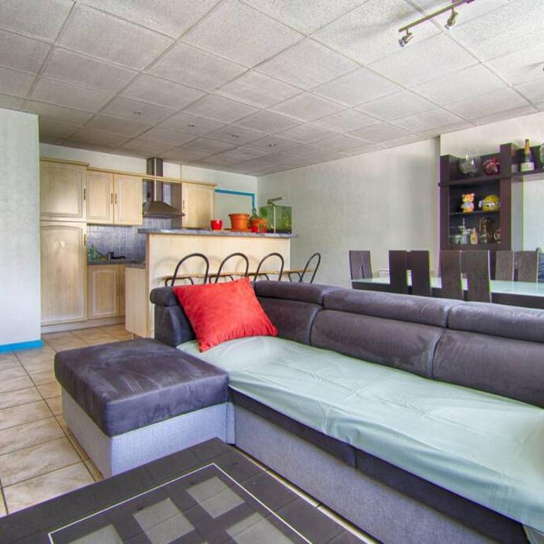 Annecy/Cran Gevrier : grand T2 - Appartement 1 Chambre - 8