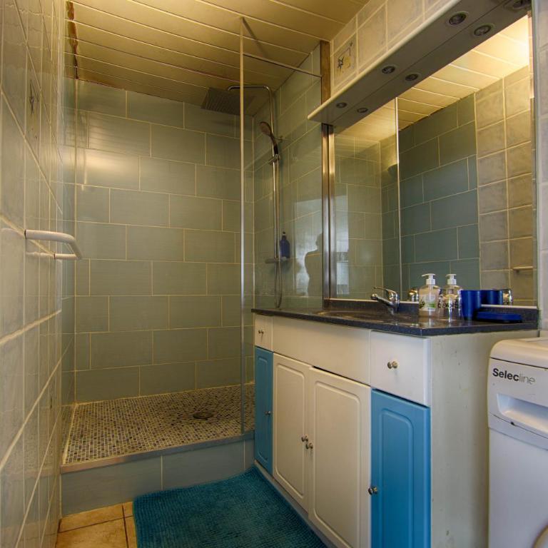 Annecy/Cran Gevrier : grand T2 - Appartement 1 Chambre - 11