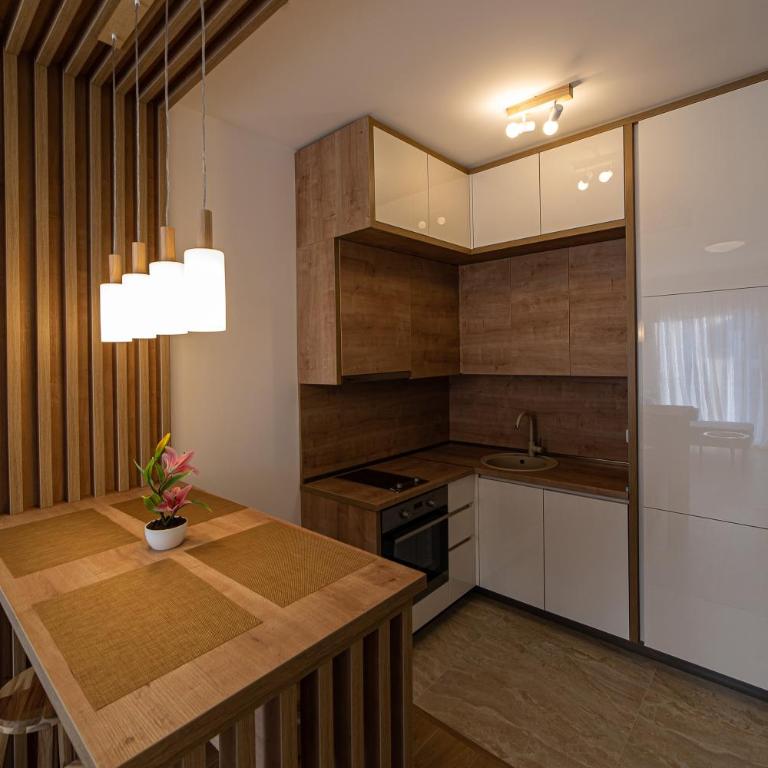 Apartments Tulip Budva - Apartman sa 1 Spavaćom Sobom - 8