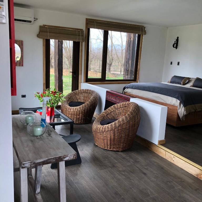 Nenquen Lodge - Habitación con cama extragrande. - 4